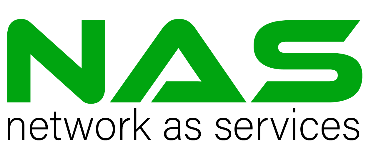 network as services